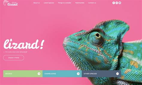 list of free homepages.